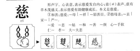 慈 名字|带慈字好听的名字大全